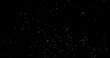 © Jag_cz - Falling snowflakes isolated on black background. Winter snow overlay texture for VFX, compositing, motion graphics and atmospheric effects