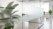© Shipna - Modern office interior with frosted glass partitions and natural light, creating a bright and professional workspace