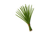 © PerfectPhoto - Bunch of fresh green chives tied, transparent background