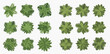 © ArtLuna Studio - Collection of green tree tops seen from above, perfect for architectural plans and garden layouts.