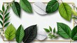 © ittipol - A vibrant arrangement of various leaves, showcasing a rich palette of greens and textures. Perfect for nature themes, backgrounds, or eco-friendly designs to enhance any project.