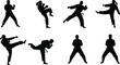 © Mahafuj  Creatives - Martial arts silhouettes with fighters, karate, taekwondo, kicking, punching, combat stances, training illustration, sports lifestyle, discipline design, self defense, flat vector