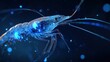 © Sergey - ultra detailed macro of a transparent shrimp with neon blue circuitry glowing inside its body, dark navy background with floating tech particles