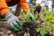 © Vitalii Shkurko - Two volunteers are engaged in planting young trees in a forest. They wear gloves and work diligently to help restore the natural environment. The activity takes place on a sunny day