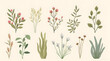 © Flower Collection - Collection of Colorful Botanical Illustration of Various Flower and Leaf Designs