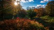 © ArtificialHorizons - Sunlight illuminates colorful foliage in a fall park, showcasing seasonal change
