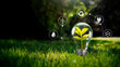 © Proxima Studio - Environmental, sustainable energy sources