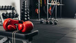 © DAVECTOR - Boxing Gloves and Gym Equipment in a Fitness Center.
