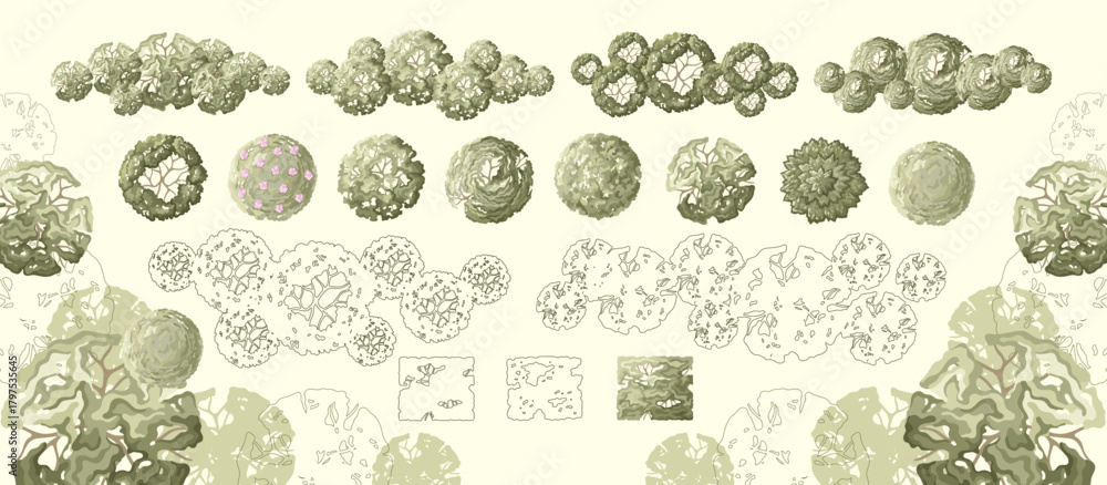 Tree for architectural floor plans. Entourage design. Various trees ...