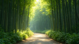 Zen bamboo grove meditation. Ultra-realistic bamboo forest experience. Tranquil nature scenes for relaxation. Peaceful retreat in bamboo settings.