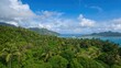 © AkuAku - Seychelles tropical island landscape featuring palm trees and lush flora, ideal for vacation planning, holiday relaxation