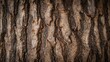 © TheWaterMeloonProjec - Oak bark detail, natural texture for organic design applications