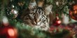 © MNStudio - Tabby cat with wide eyes climbs amid Christmas tree branches knocking red ornament with blurred lights. Playful feline mischief, curious holiday chaos vibe.