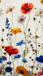 © Hassan - Vibrant Wildflower Meadow with Poppies and Cornflowers in Full Bloom.