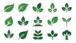© Roxxxxxxxxx - Green leaf and plant icons collection. a set of vector symbols representing nature, growth, ecology, and botanical elements.