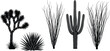 © VectoInfinity  - Illustration of a detailed black and white illustration showcases a variety of desert plants, including a joshua tree, ocotillo, saguaro cactus, and yucca, isolated on