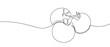 © Proongnee - Three tomatoes in one continuous line Dynamic single line draw design vector illustration Editable stroke.