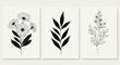 © Rana Graphic - Minimalist botanical prints isolated on white background featuring daisy, leaf, and floral elements in a simple, elegant design