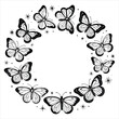 © anzera - Butterfly circle frame with starry accents and dots on white isolated on white background, Vector