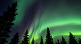 Aurora Borealis dancing over a forest landscape in the night sky