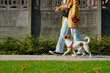 © Lazy_Bear - Person in yellow coat walking small dog on red leash along sidewalk in sunny day. Woman with her pet have fun at morning walking. Female pet sitter with Jack Russell terrier dog at city street
