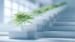 © valeo5 - series of small, vibrant green trees planted on ascending white, geometric steps or platforms, symbolizing continuous growth, environmental progress, business success, sustainable development