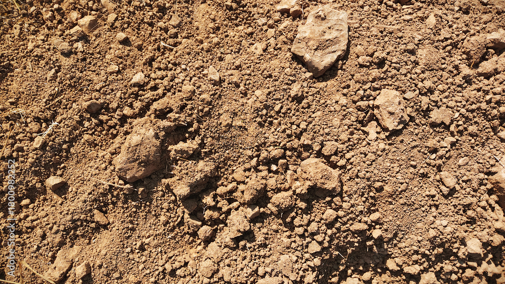 Soil Rough Texture Dry earthy soil texture with compact rough surface and natural ground ...