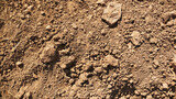 Dry earthy soil texture with compact rough surface and natural ground detail perfect for geology, backgrounds, and design visuals