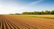 © SHALENA - Ploughed agricultural field with neat rows of soil under a clear blue sky, ready for planting, with a strip of green grass and a line of trees in the distance
