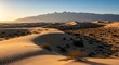 © mozylea - Golden hour desert landscape with sand dunes and mountains against a blue sky.