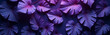 © Maria - mesmerizing flat lay intricately arranged tropical leaves deep rich purple hue illuminated soft ultraviolet light