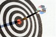 © Worldwide - Sharp dart hitting the bullseye in a target.