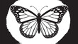© MST SHILPI - Monarch butterfly illustration isolated on black background