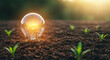 © shadab - Inspiring new idea blooms with glowing lightbulb nurturing tiny seedlings in fertile soil at sunrise, symbolizing growth and innovation.