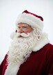 © Laurent - Close-Up Portrait of Santa Claus
