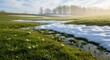 © Jayeda akter - Spring meadow with melting snow and blooming crocuses a scenic landscape of seasonal transition symbolizing renewal and the end of winter