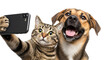 © Sadia - Cat and dog taking a selfie together isolated on transparent background