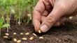© MST JAMENA KHATUN - Planting seeds by hand in soil, a close-up shot of a person's fingers carefully placing seeds