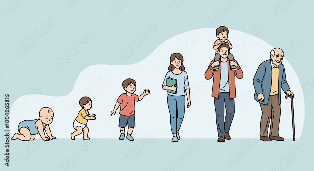 Illustration of illustration showing the human life cycle from infancy ...