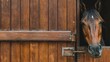 © Luan - Horse head peeking out of wooden stall door with metal latch in stable environment setting indoors