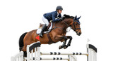 Woman rider in navy jacket and white breeches jumping a horse over a hurdle isolated on a transparent background