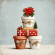 © Marco - rustic terracotta pots planted with poinsettias and small evergreen trees