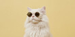 © prystai - Cool white cat wearing sunglasses against a yellow background showing stylish attitude