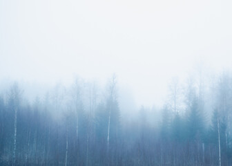 Naklejka na meble A minimalist winter scene with trees fading into dense white fog. Soft, calm atmosphere and large copy space make the image ideal for backgrounds, wellness themes, and Scandinavian nature concepts.