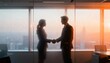© abu - Blurred business handshake behind frosted glass in modern office