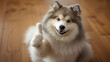 © BVpix - Adorable dog making a playful thumbs-up gesture, expressing approval and positivity