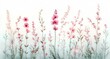 © Margarita - delicate tall pink wildflowers with slender stems and soft green foliage on a pale watercolor background evoking calm dreamy serenity