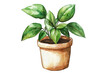 © kageyama - A green potted plant with lush leaves. its natural beauty. placed against a clean white background. ideal for home decor or gardening themes