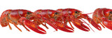A row of cooked crustaceans on black background, showcasing bright red shells and prominent claws