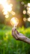 © ruangrit19 - Hand holding lightbulb outdoors in nature symbolizing idea generation and energy innovation in a green environment.